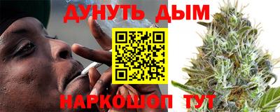 сатива Кандалакша