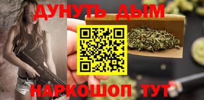 сатива Кандалакша