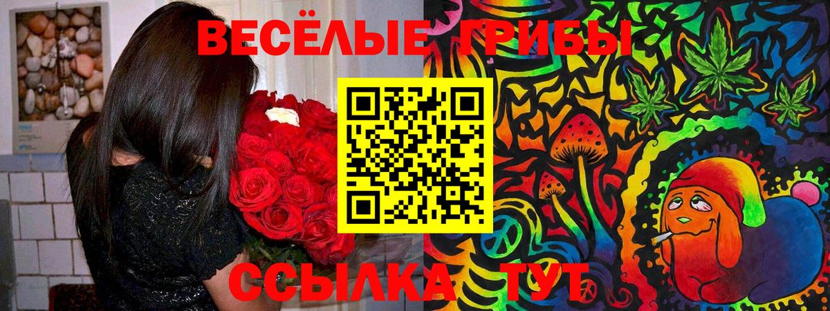 Верхняя Салда  Галлюциногенные грибы GOLDEN TEACHER  Вход с VPN 