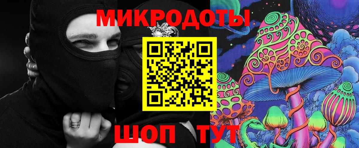 Псилоцибиновые грибы Psilocybe Верхняя Салда